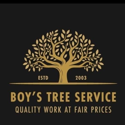 Boy's Tree Service