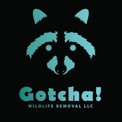 Avatar for Gotcha Wildlife Removal LLC