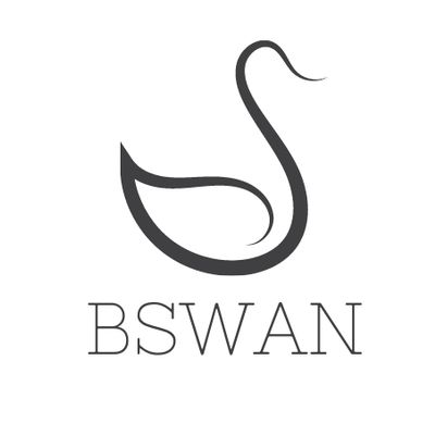 Avatar for BSWAN | 𝐫𝐞𝐦𝐨𝐝𝐞𝐥𝐢𝐧𝐠