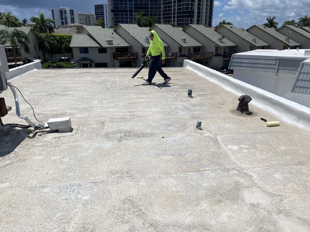 Roof Repair or Maintenance