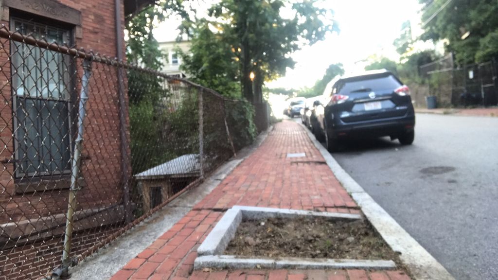 cleaned up walkway 