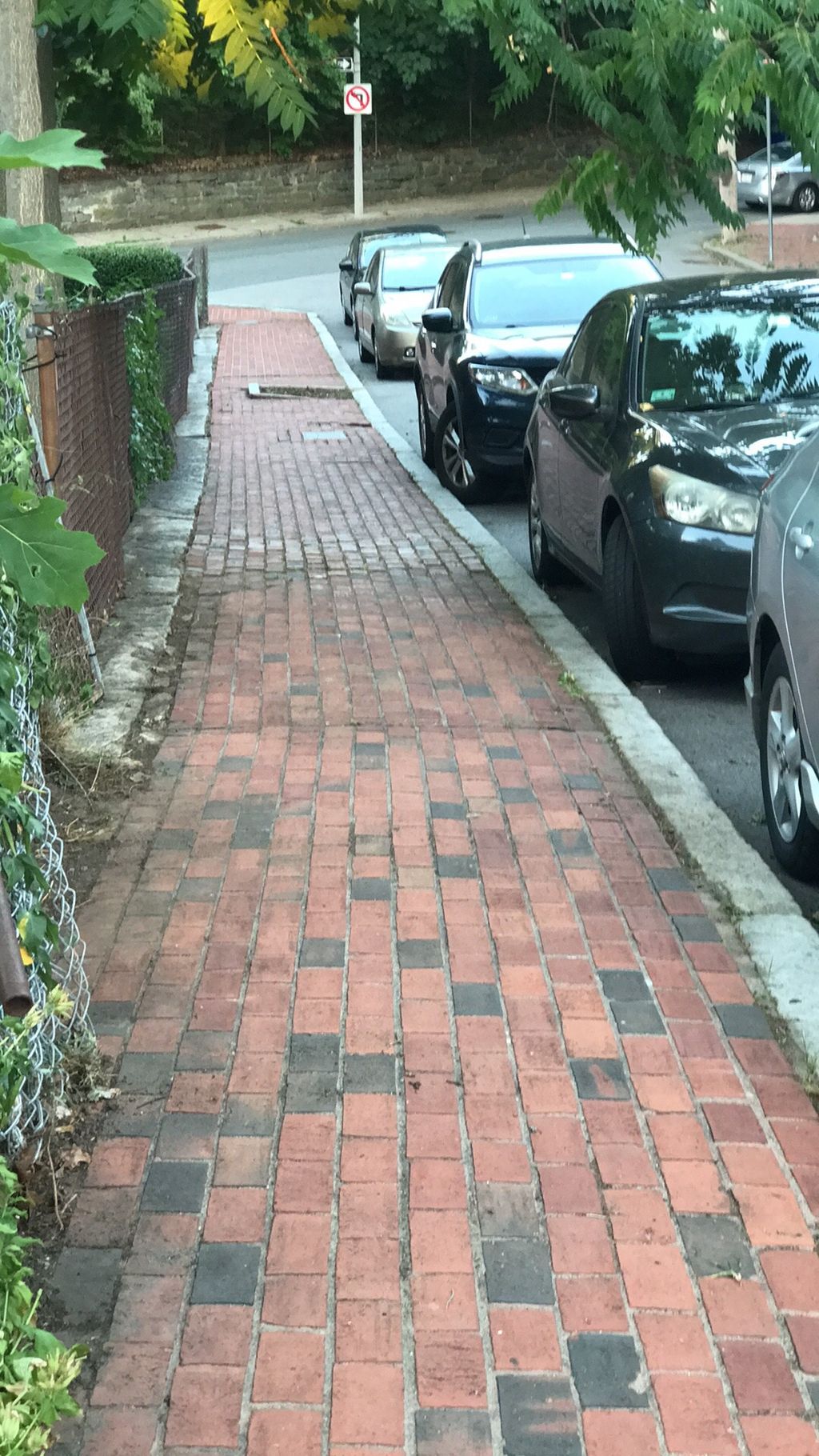 This walkway had weeds overgrown out of it. I pluc