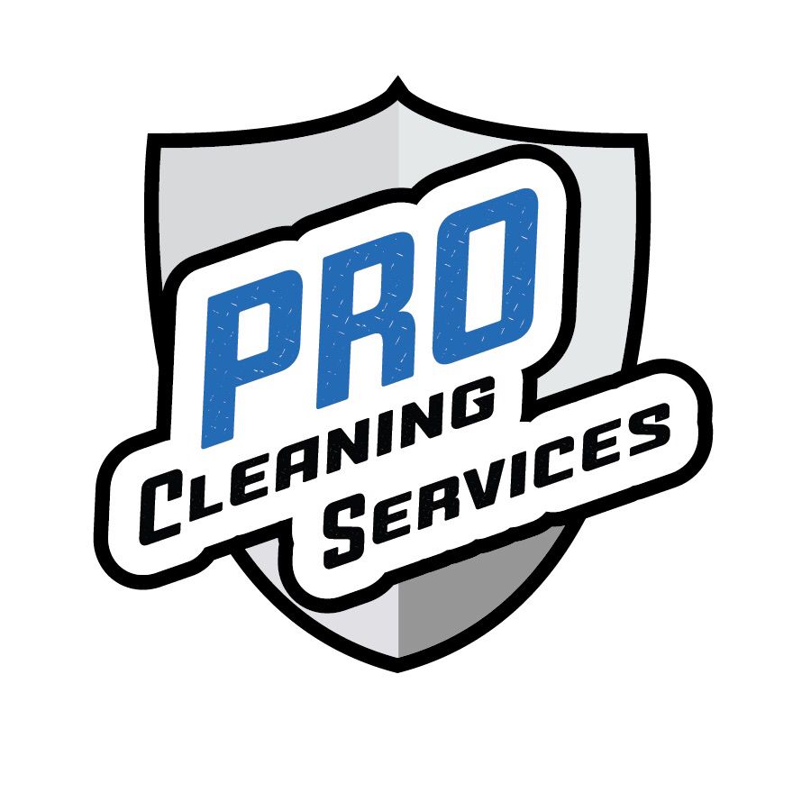 Pro Gutter Cleaning Service