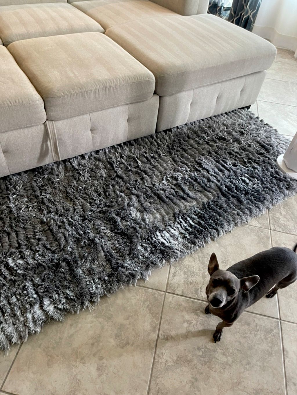 Customer photos
