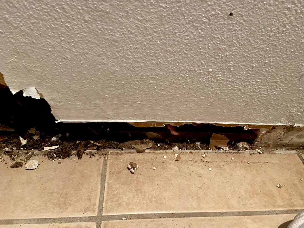 Mold damage of wood rot due to undetected slow lea