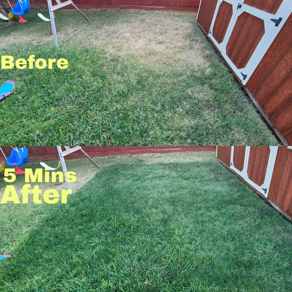 My Own Backyard 2 Gallon Paint Test