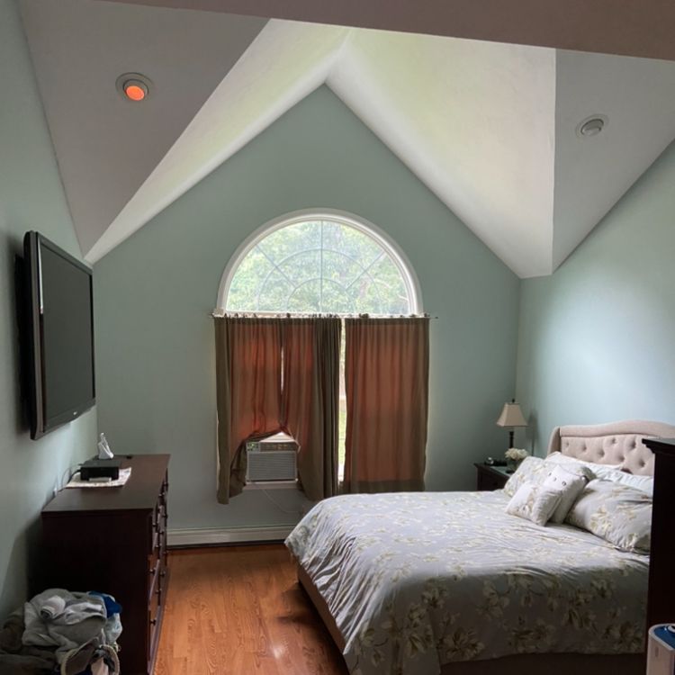 Paint & Property Renovations