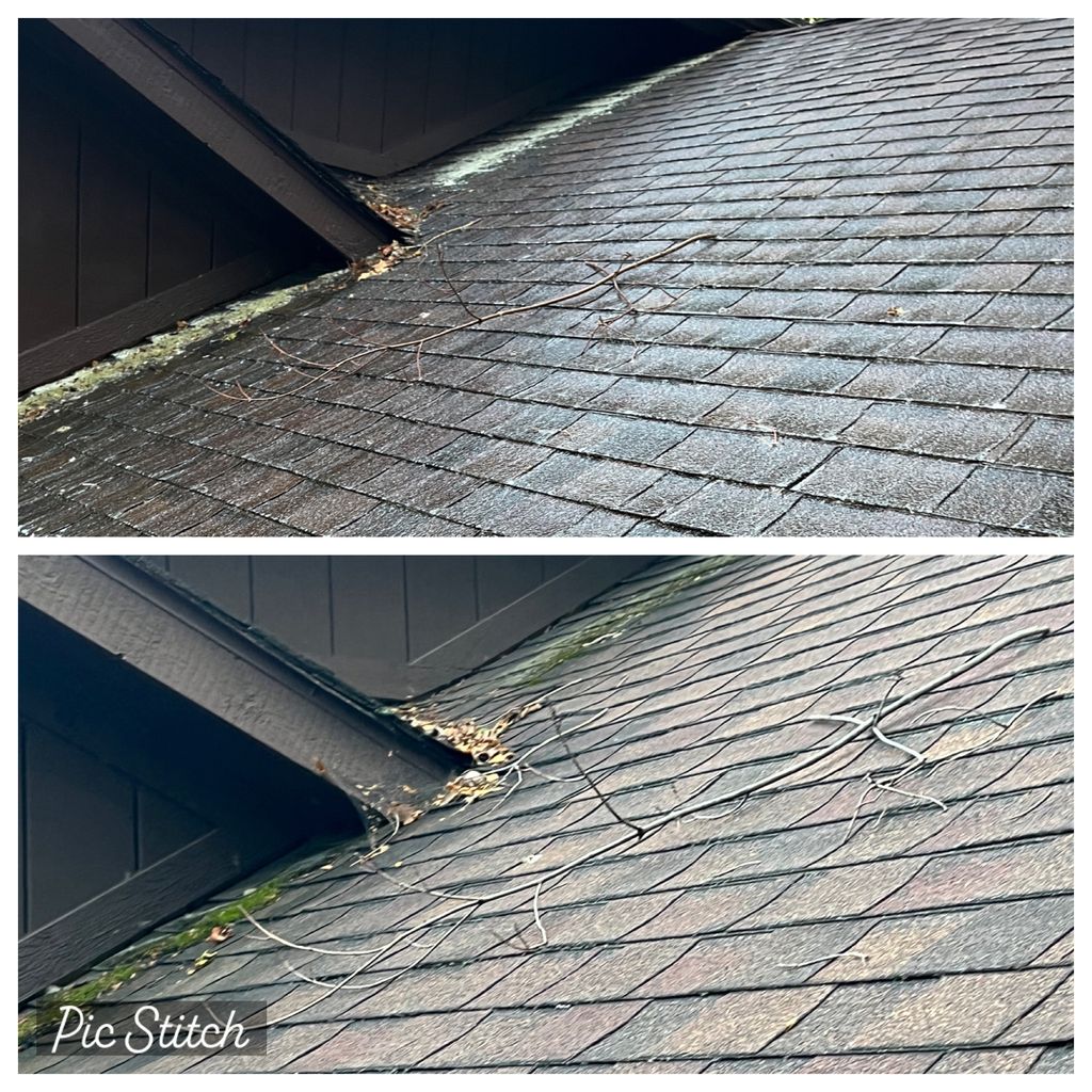 Roof Cleaning