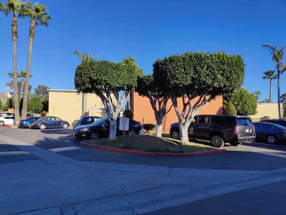  trimming this tree