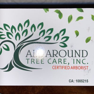 Avatar for All around tree care