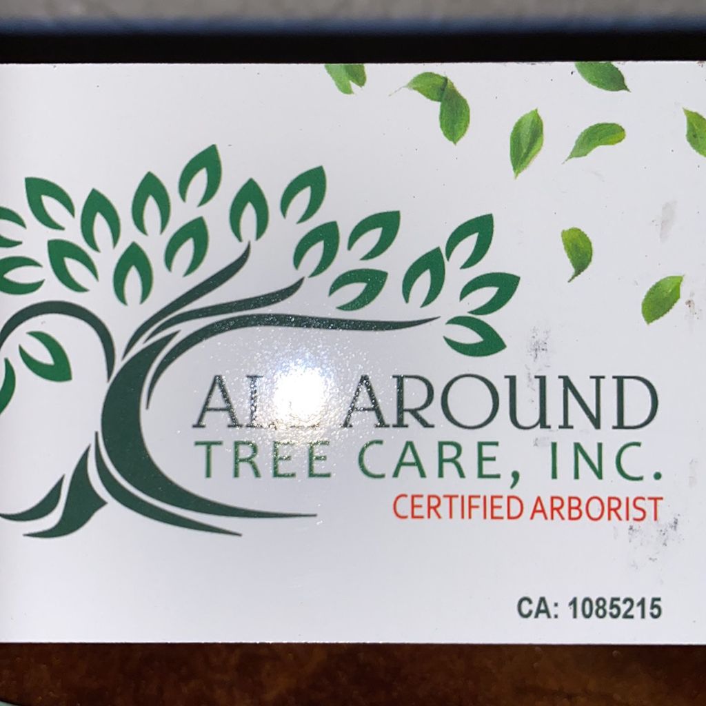 All around tree care