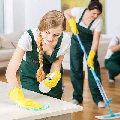 Avatar for Beatriz House Cleaning