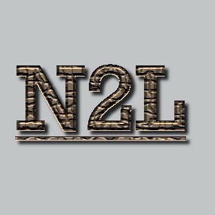 Avatar for N2L Services