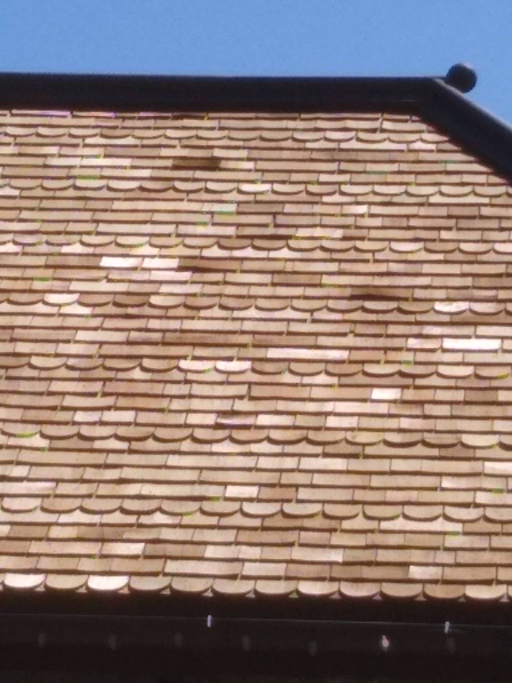 pressure washer cleaning