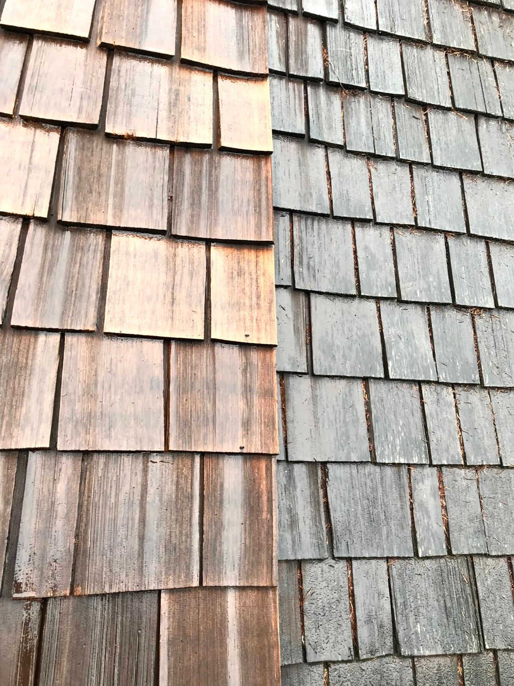 pressure washer cleaning