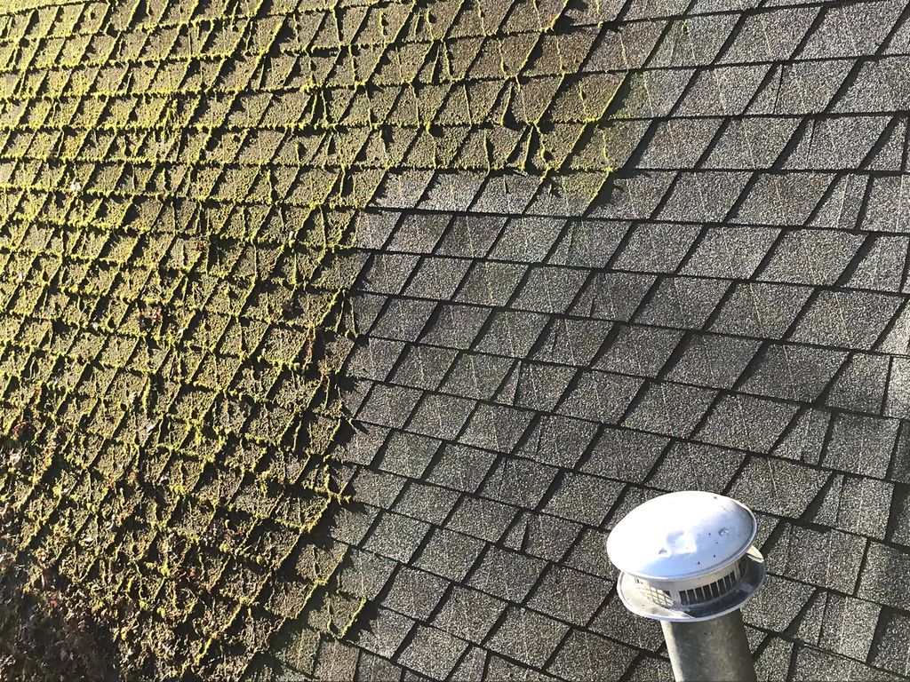 pressure washer cleaning