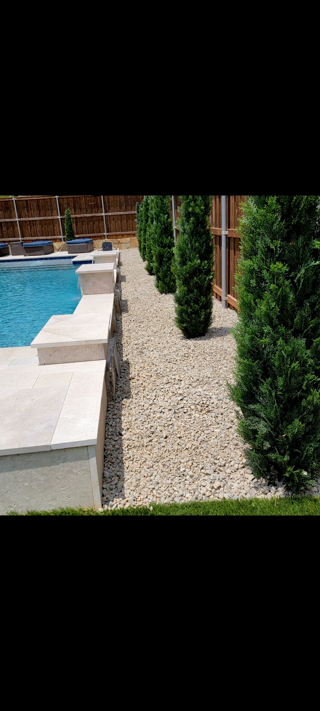 New install artificial plants plus rocks