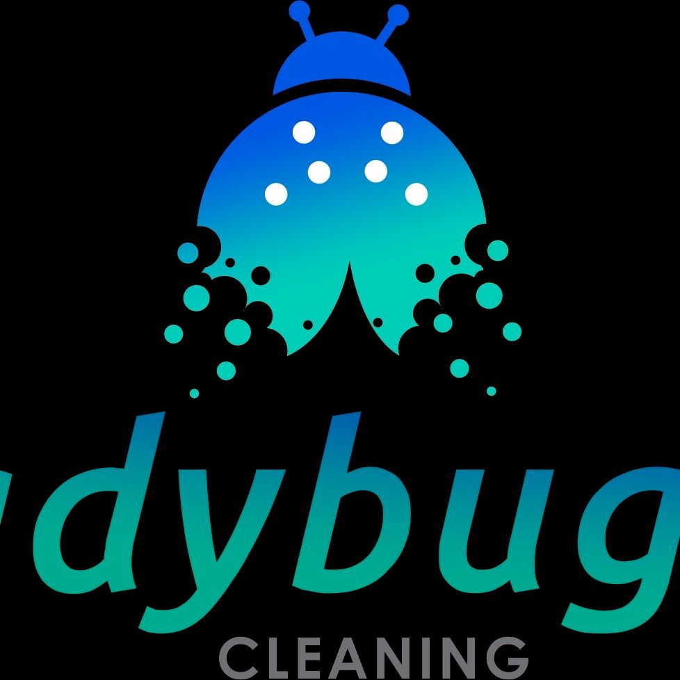 Lady Bugg Cleaning