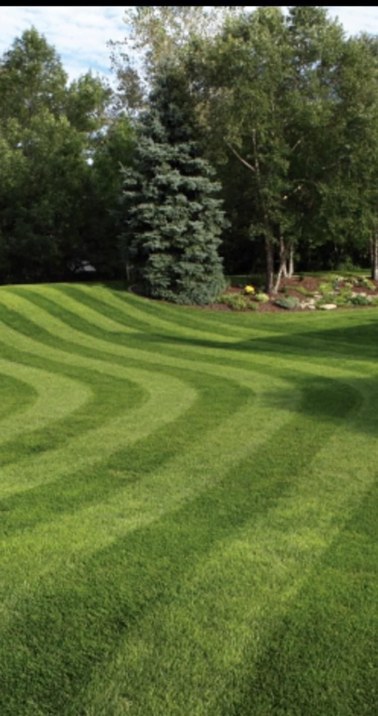 Full Service Lawn Care