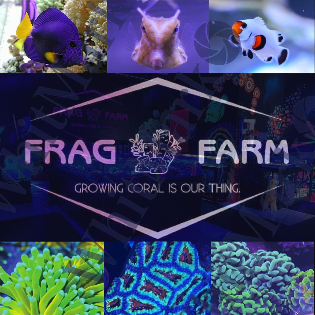 Frag Farm