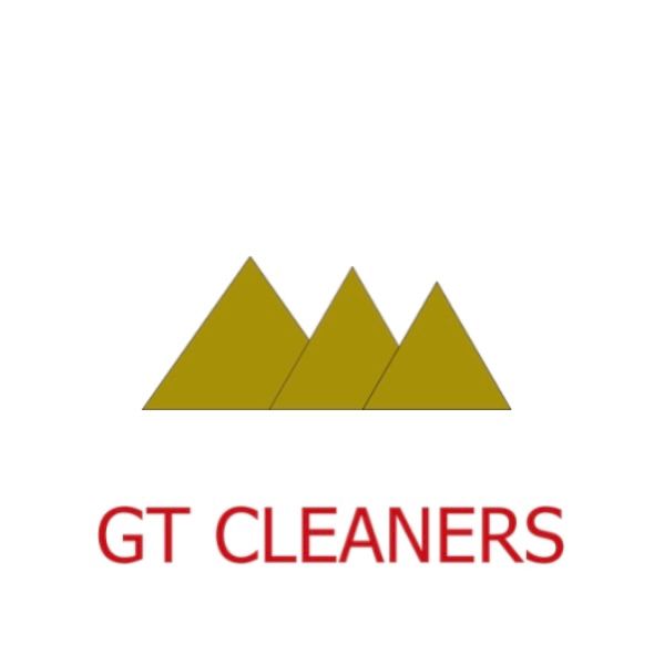 GT roof cleaning