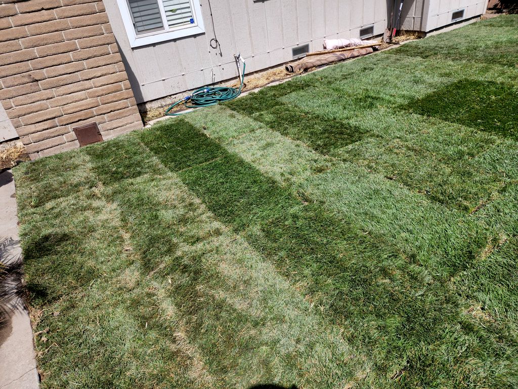 sod install Stockton 