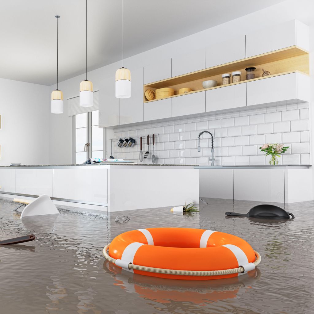 Emergency Restoration Pros of Texas LLC
