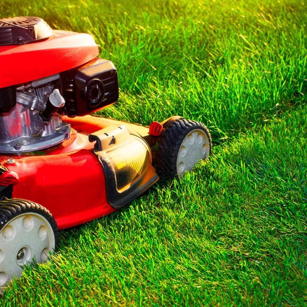 Best Lawn Care Company
