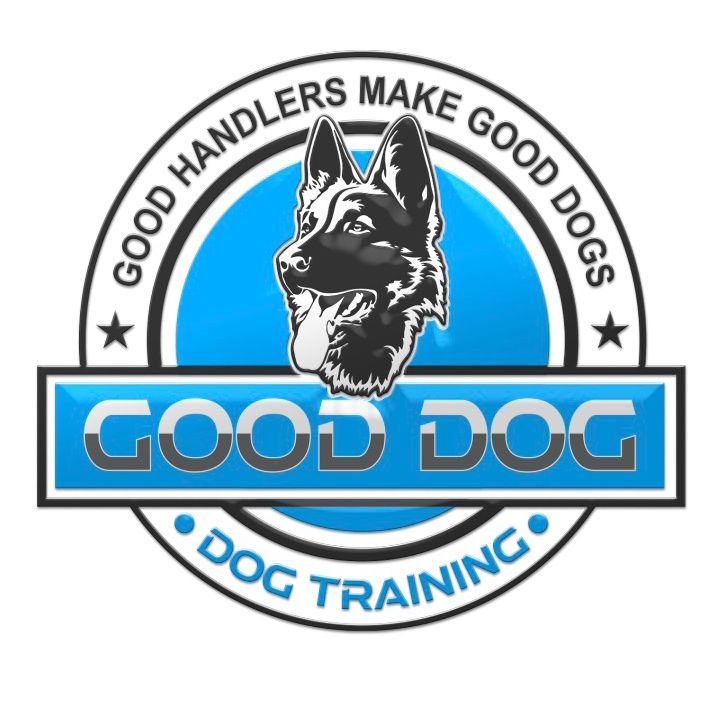 how much is a good dog trainer