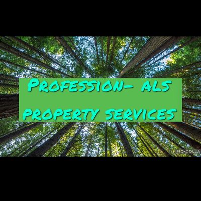 Avatar for Profession-Als Property Services