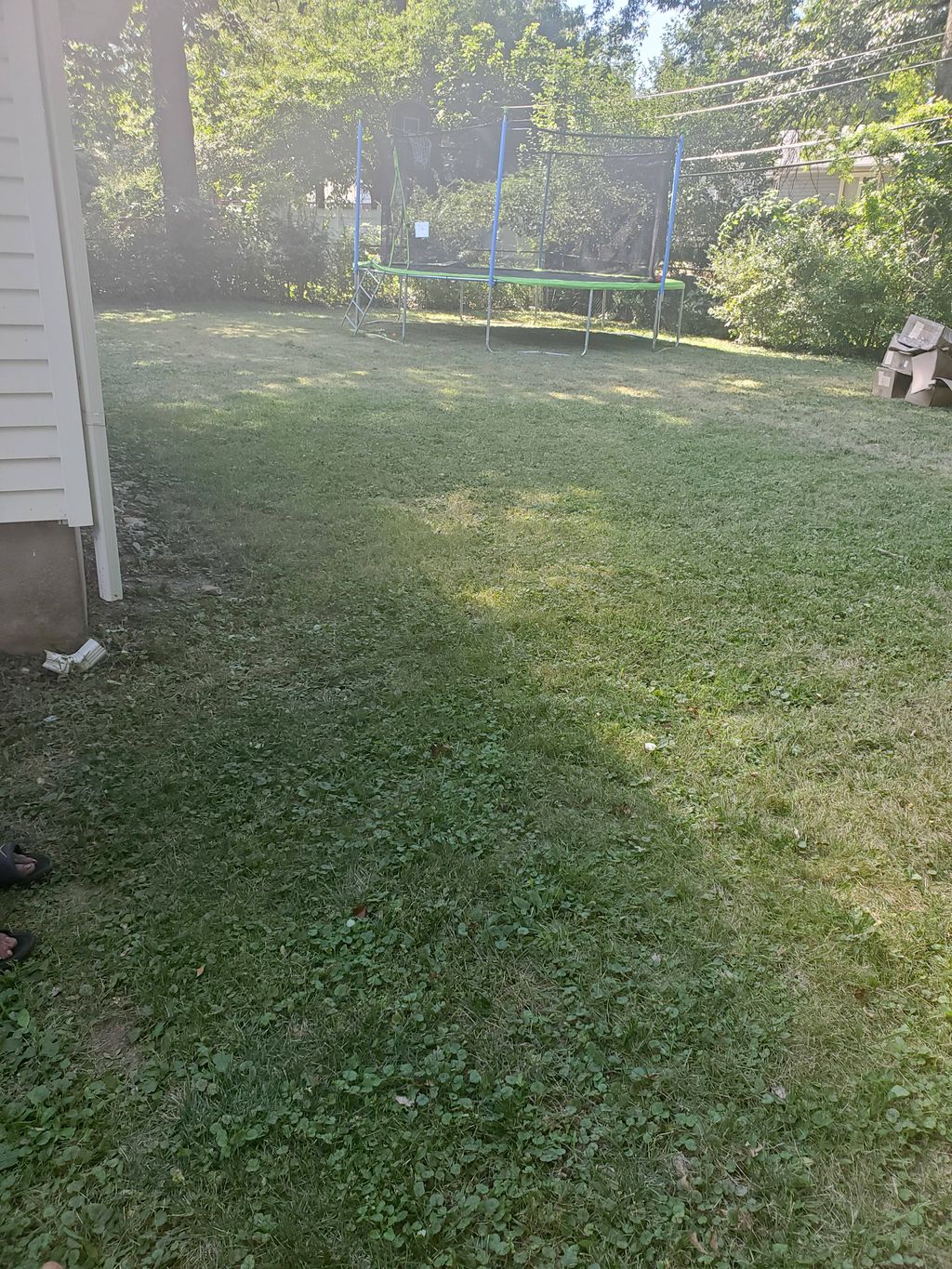 Customer photos