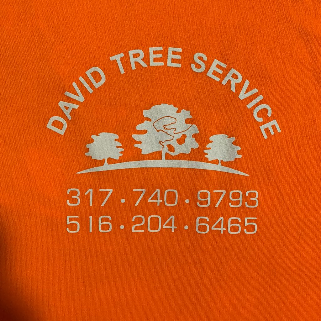 David Tree Services, LLC