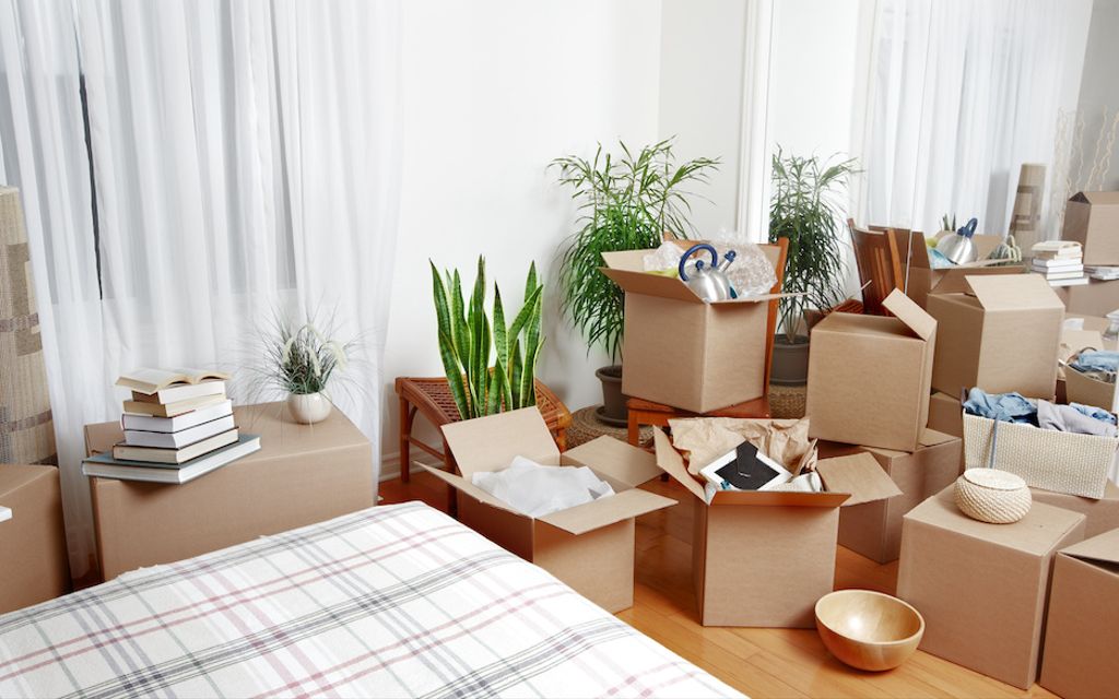 How to pack every room for an easier move.