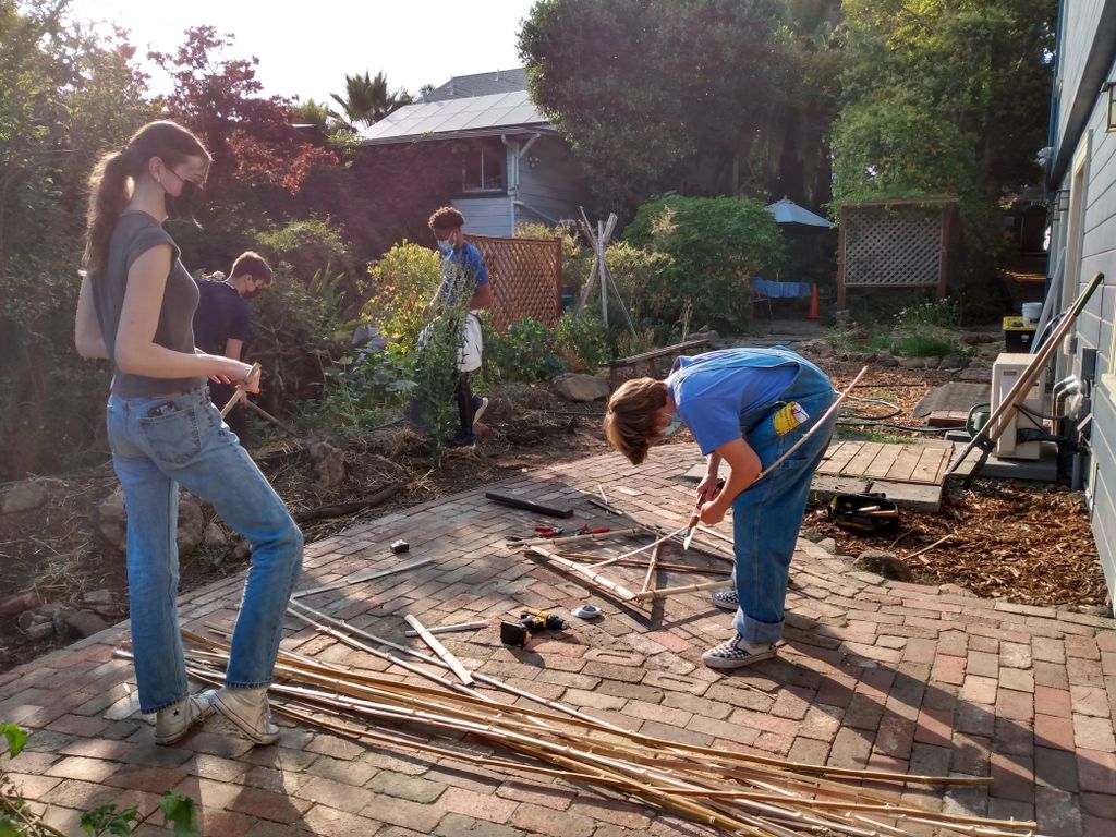 Projects and media