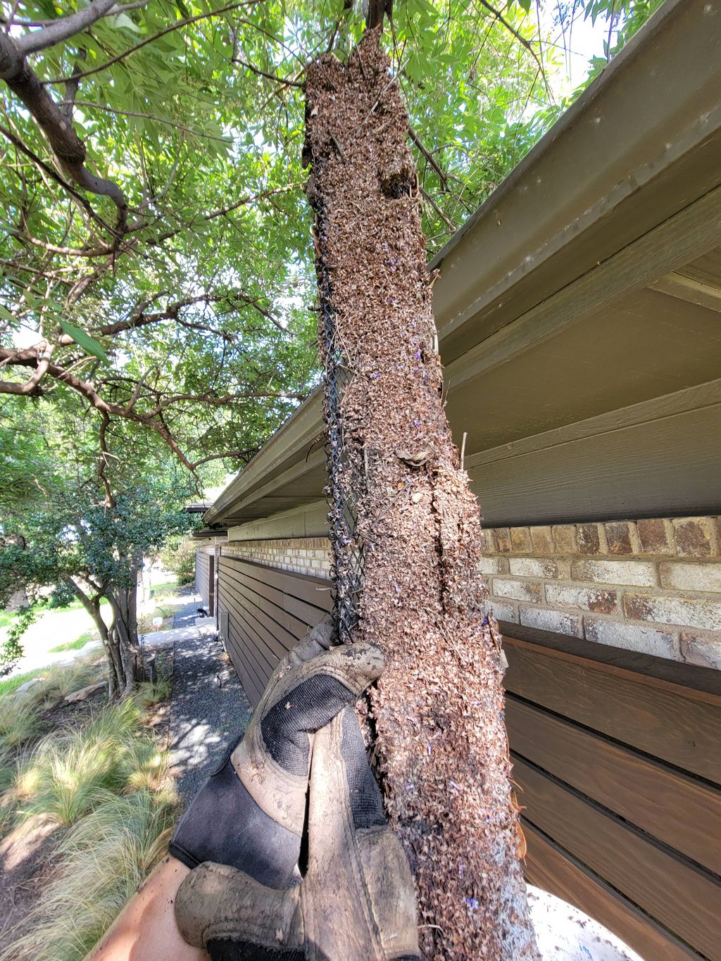 Highly recommend gutter cleaning twice a year even