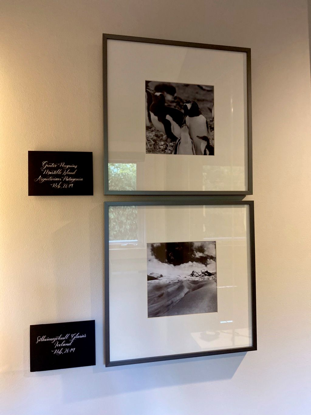Customer photos