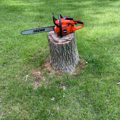 Avatar for TTS Tyler’s Tree Services