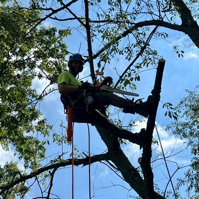 Avatar for Father and Son Tree Service Ohio