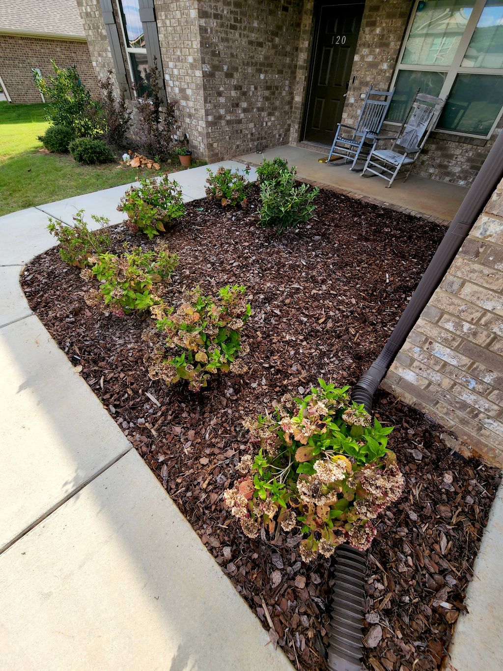 After weeding 