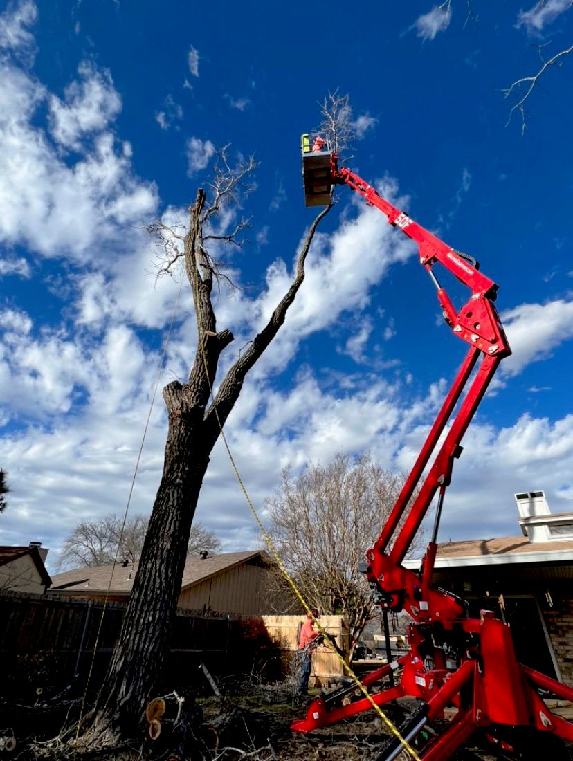 Tree Trimming and Removal