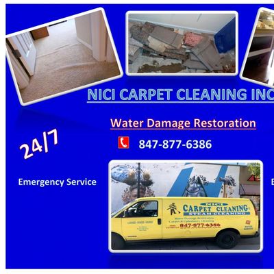 Avatar for Nici Carpeting Cleaning Inc.