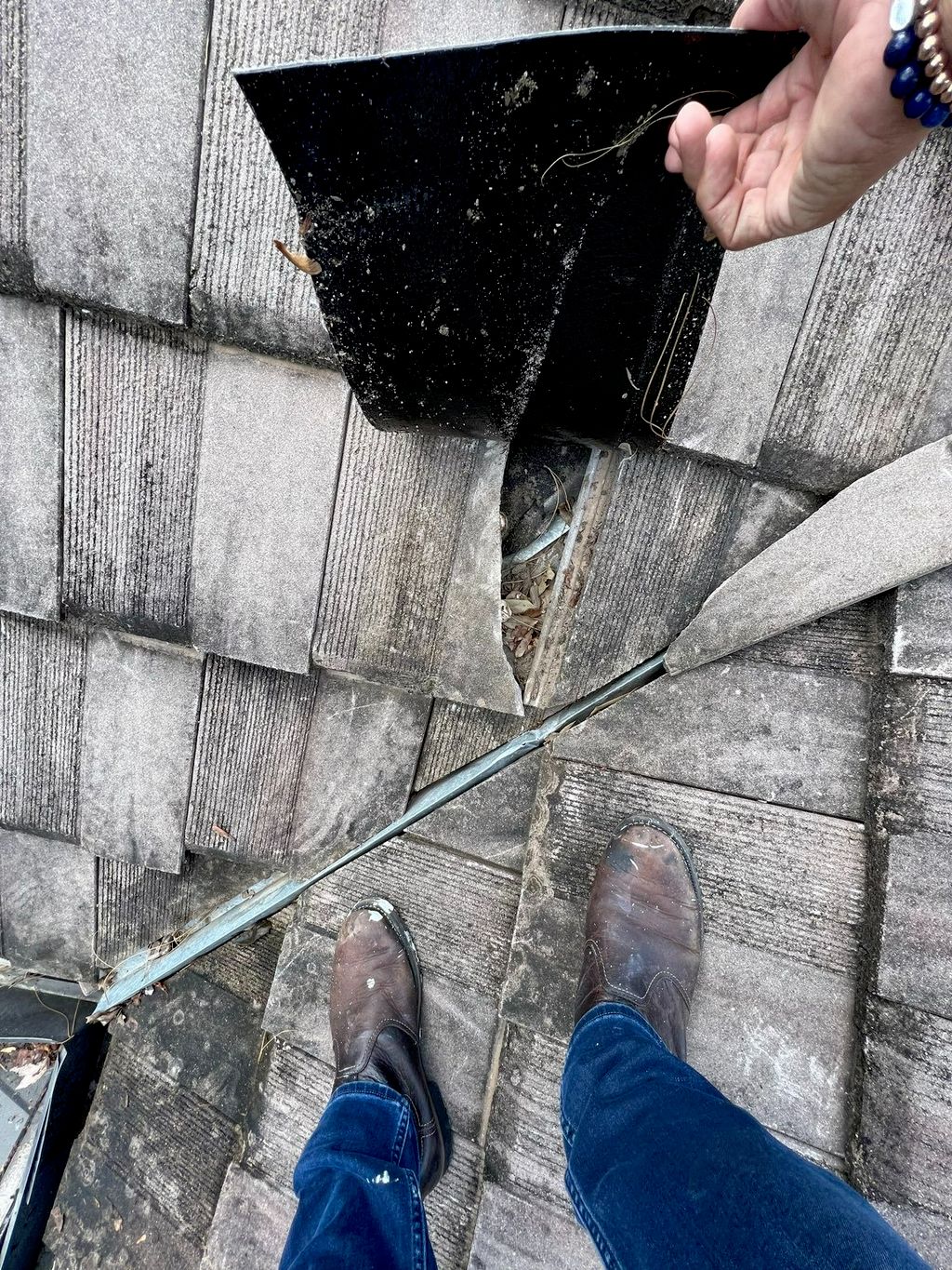 Customer photos