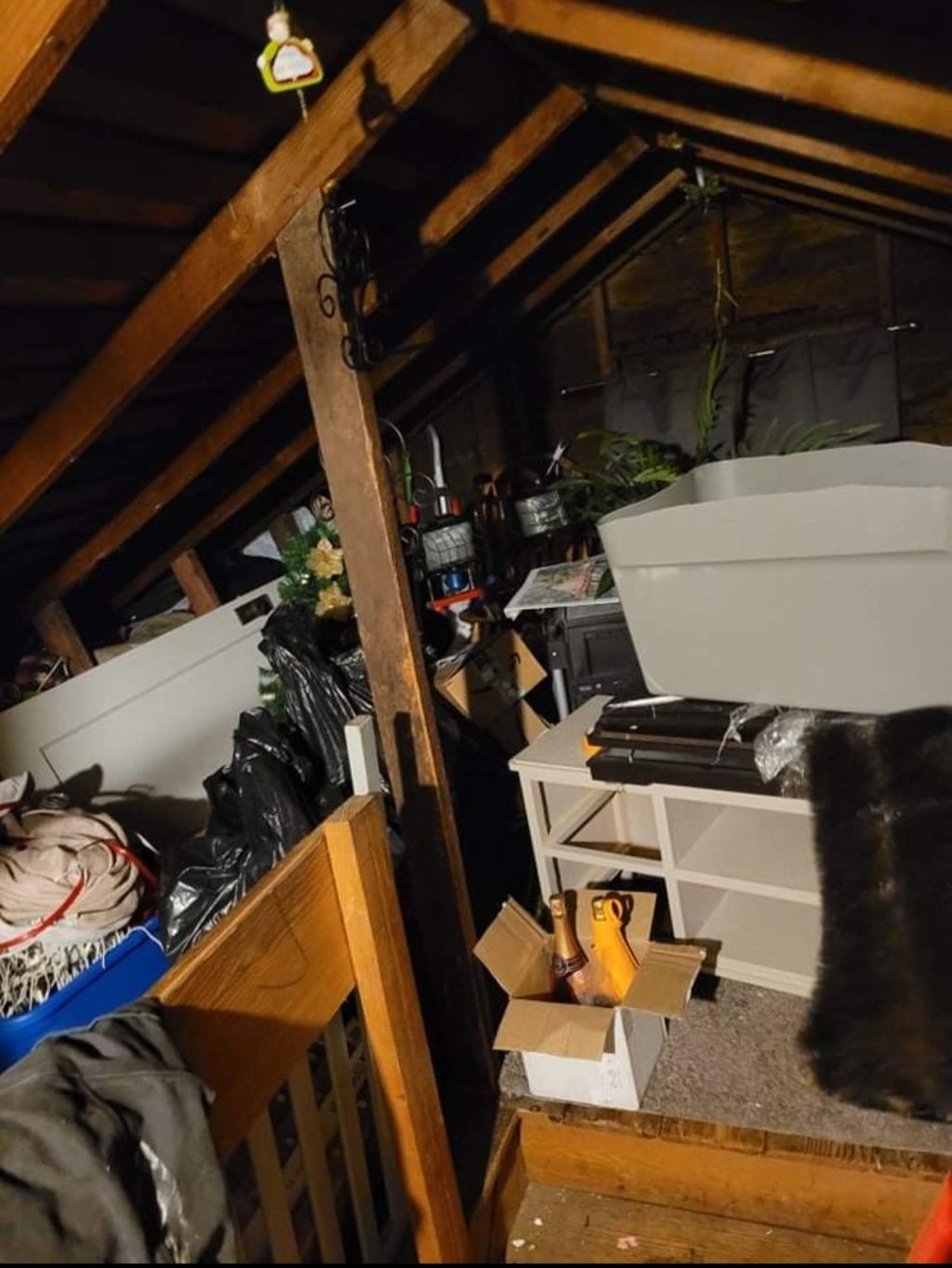 Attic Before