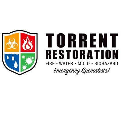 Avatar for Torrent Restoration