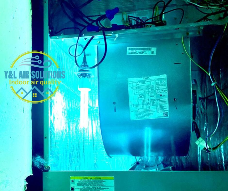 UV light solution.