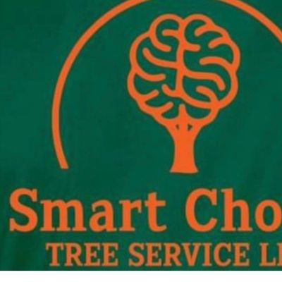 Avatar for Smart choice tree services LLC
