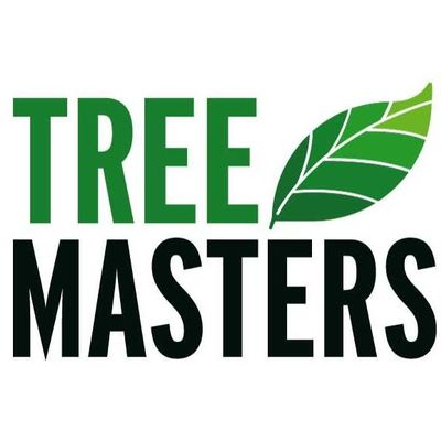 Avatar for Tree Masters