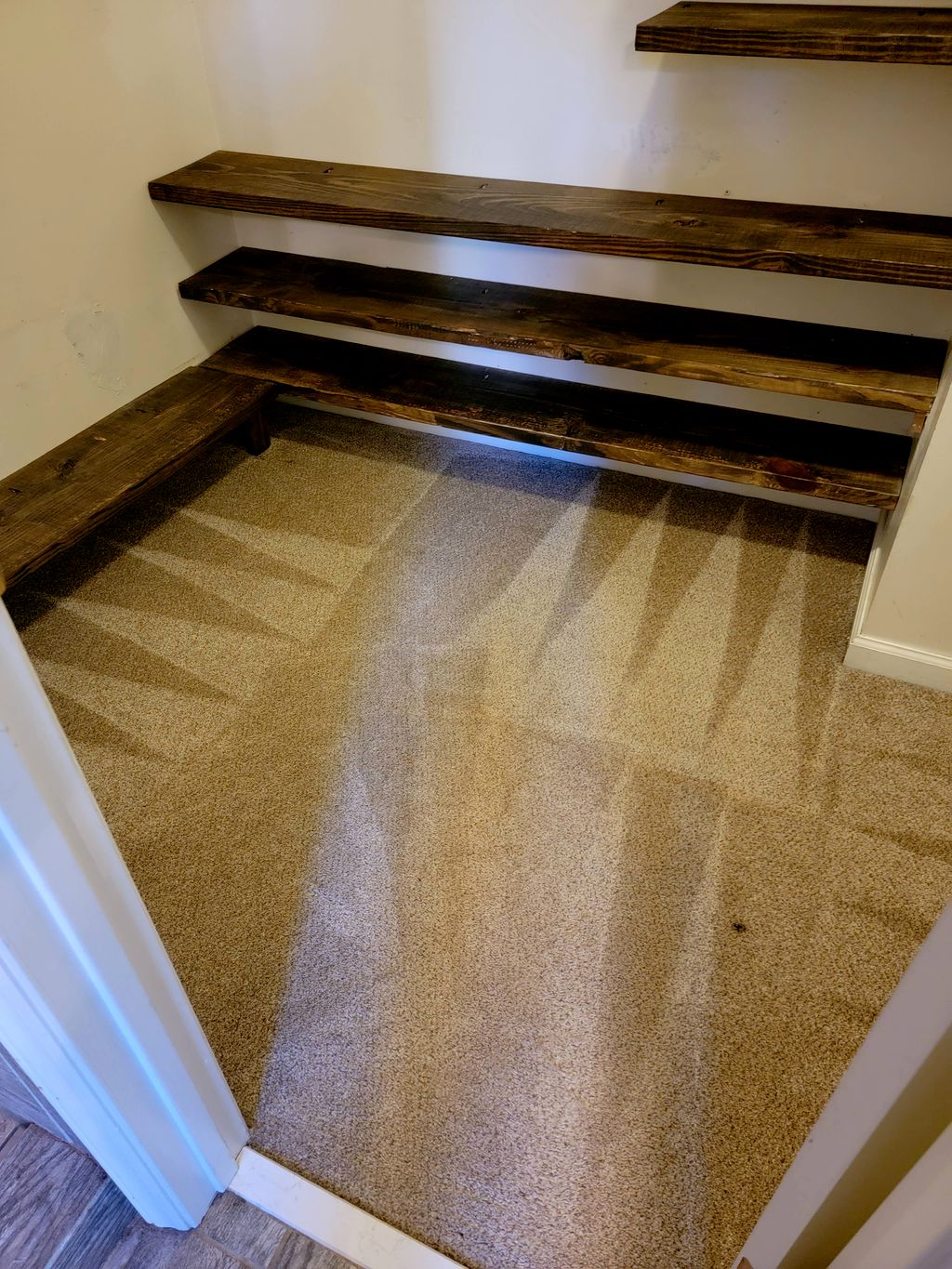 Hot Water Carpet Extraction - Closet