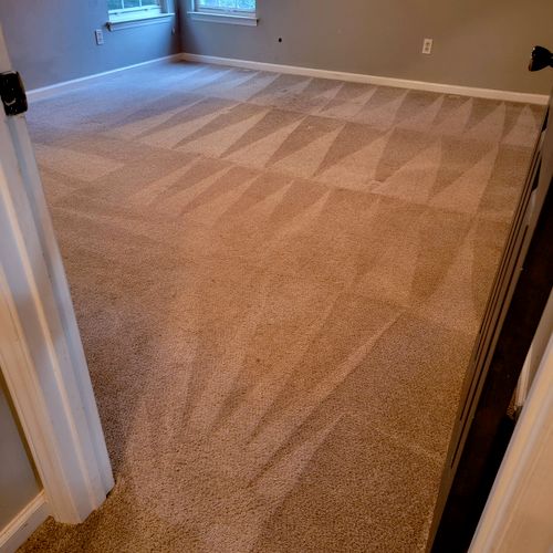 Hot Water Carpet Extraction - Bed#1