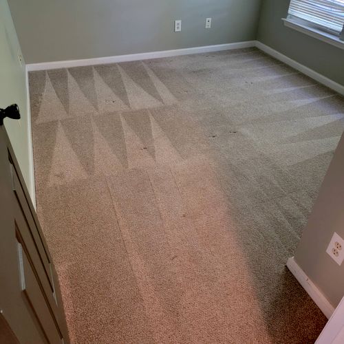Hot Water Carpet Extraction - Bed#2